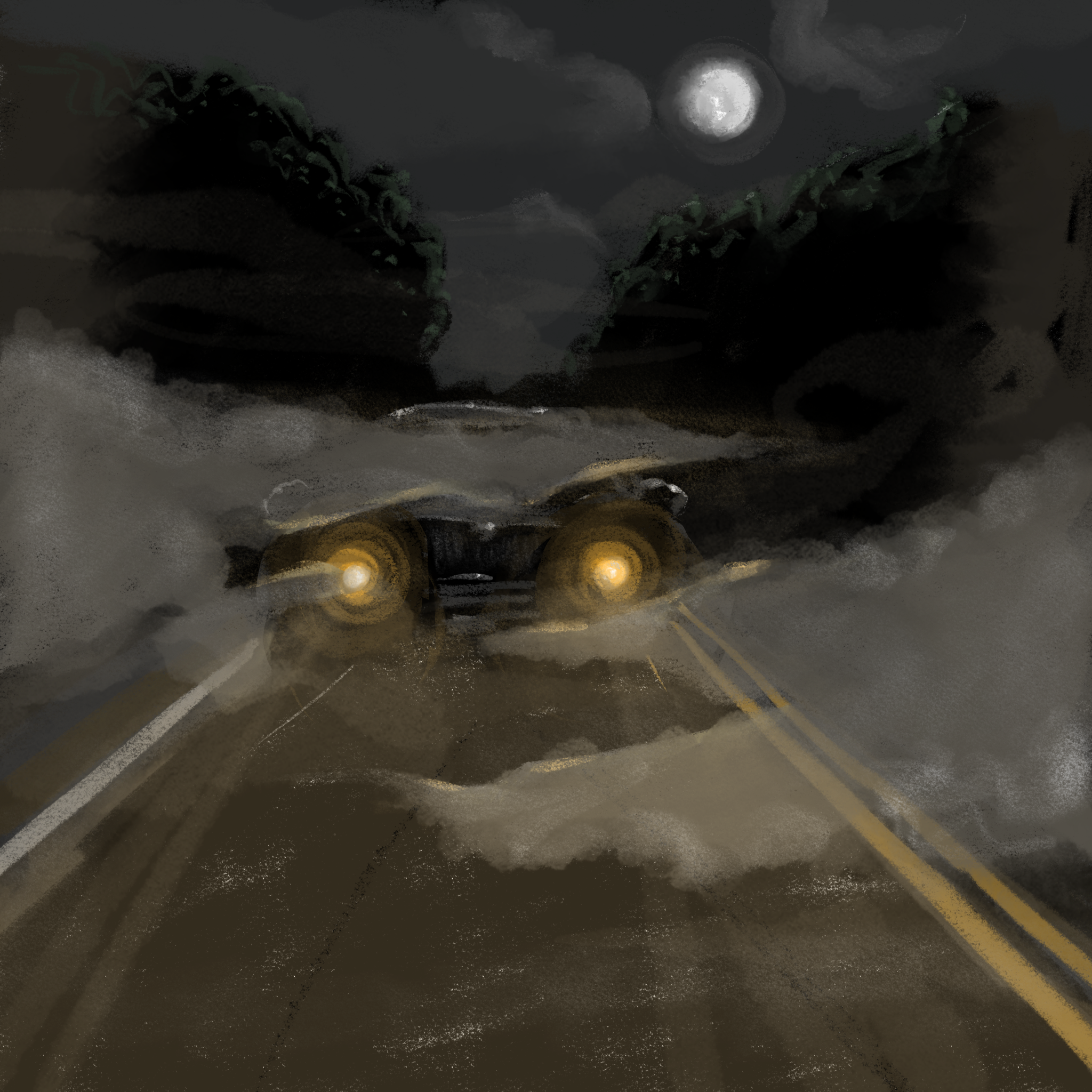 Driving in the Dark